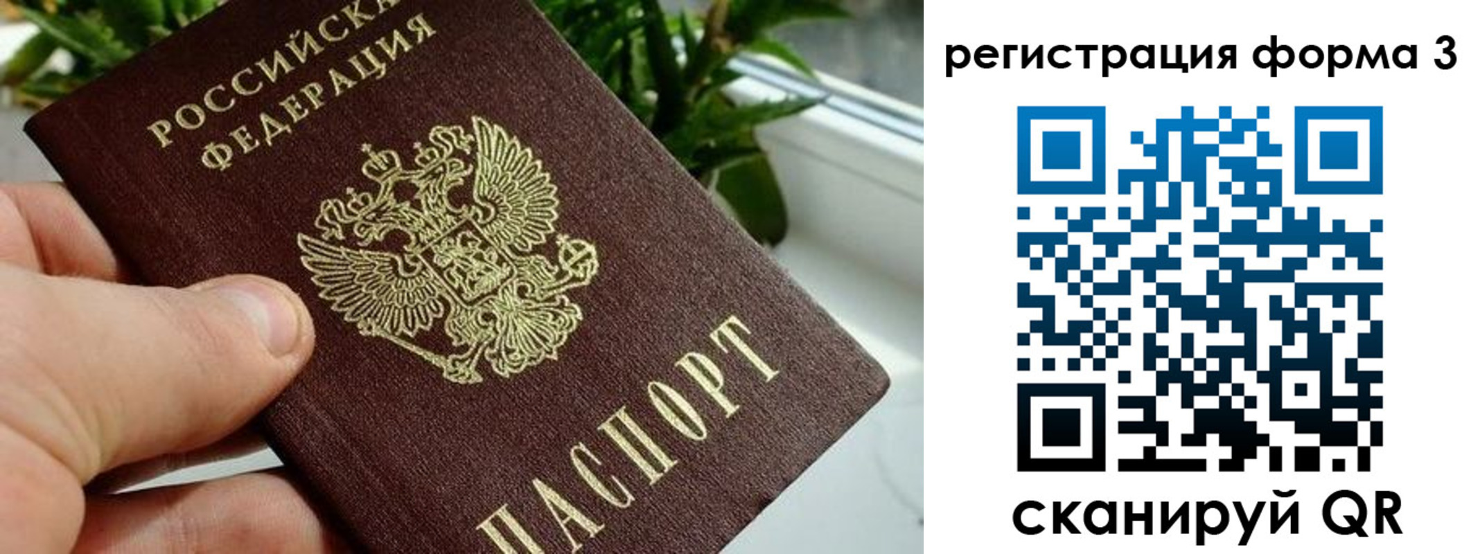 прописка штамп в Зуевке
